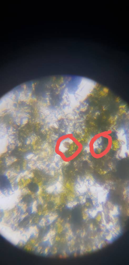 20181011_162044.jpeg