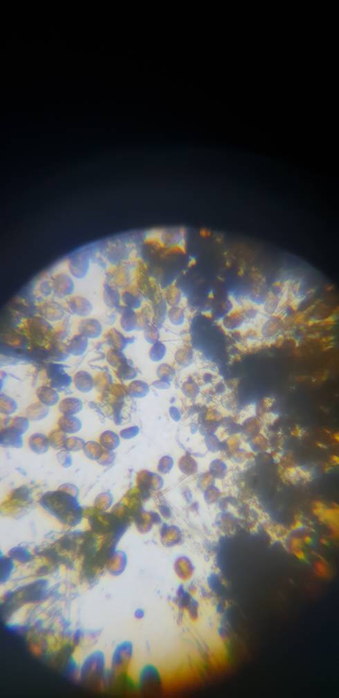 20181011_163034.jpeg