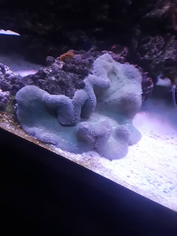 20181013_102109.jpeg