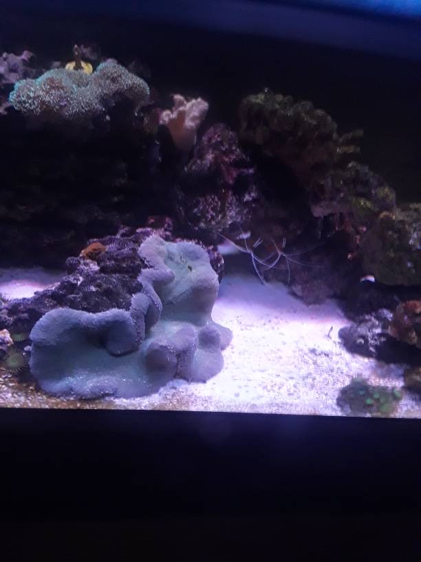 20181013_102116.jpeg