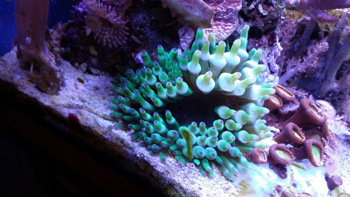 20181021_204309.jpg