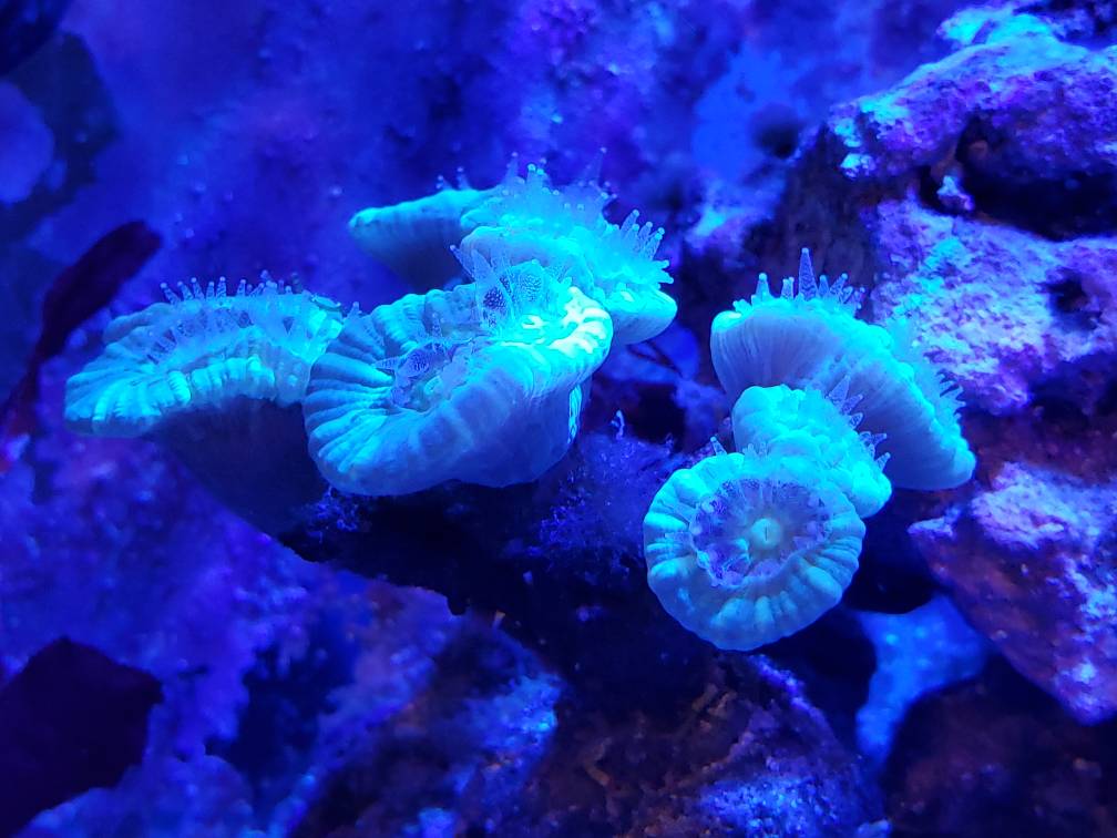 20181021_211558.jpeg