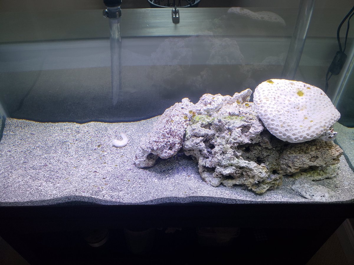 20181024_103756.jpg