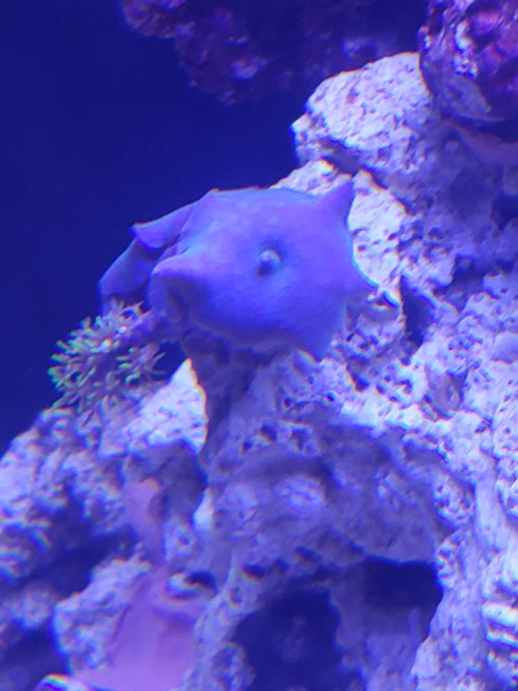 20181024_141730.jpeg