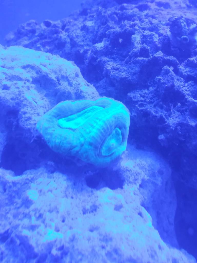 20181024_163724_HDR.jpeg