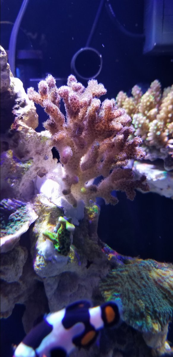 20181024_195804.jpg