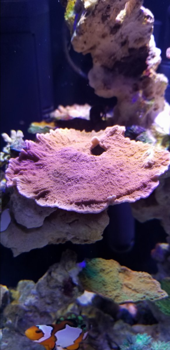 20181024_195841.jpg