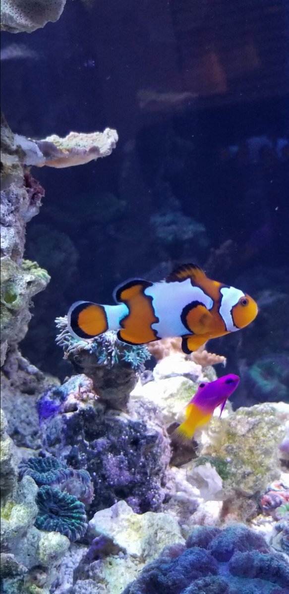 20181024_200431.jpg