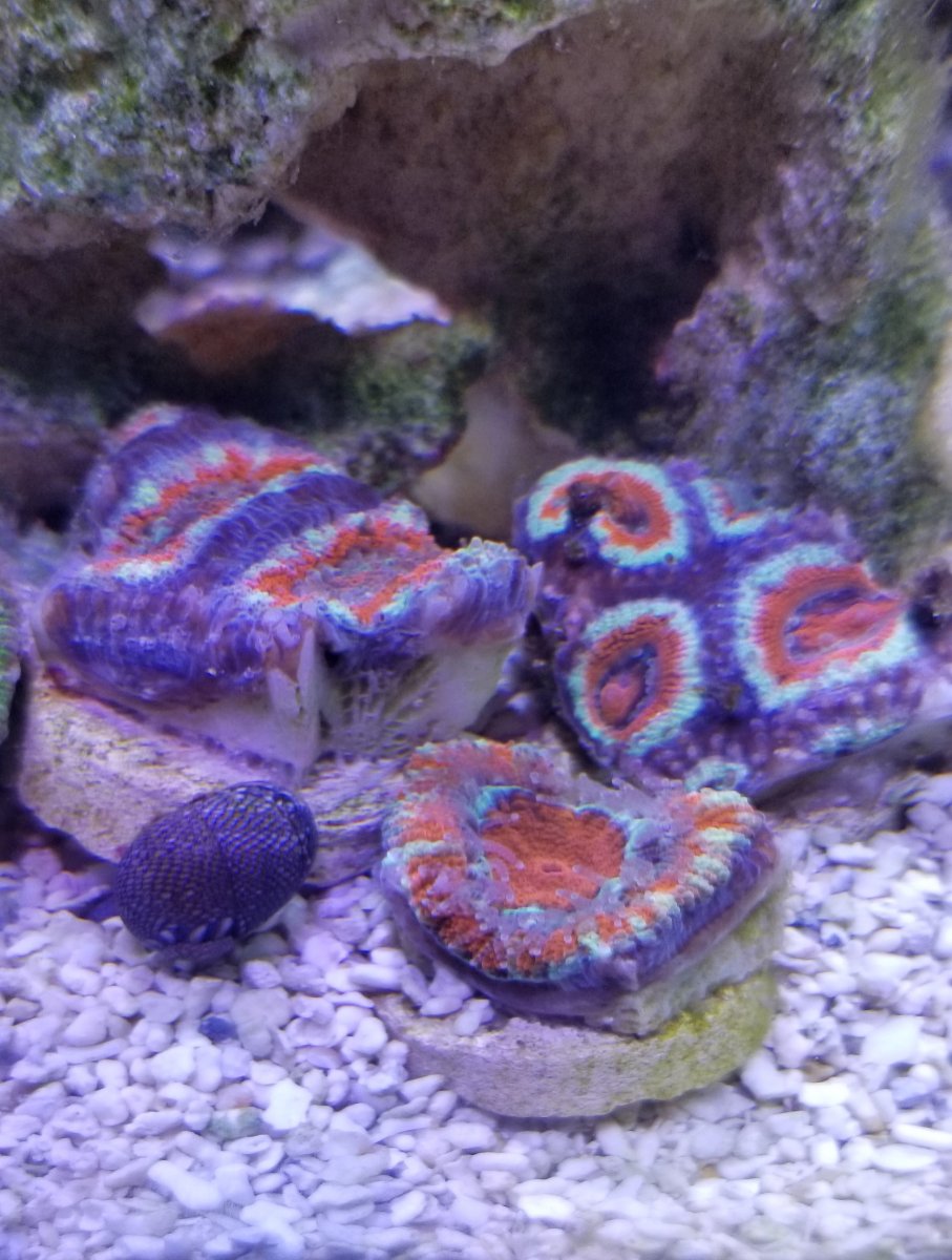 20181024_220245.jpg