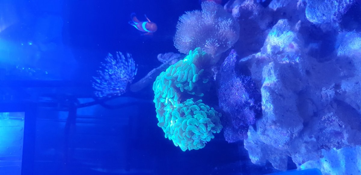 20181025_222634.jpg