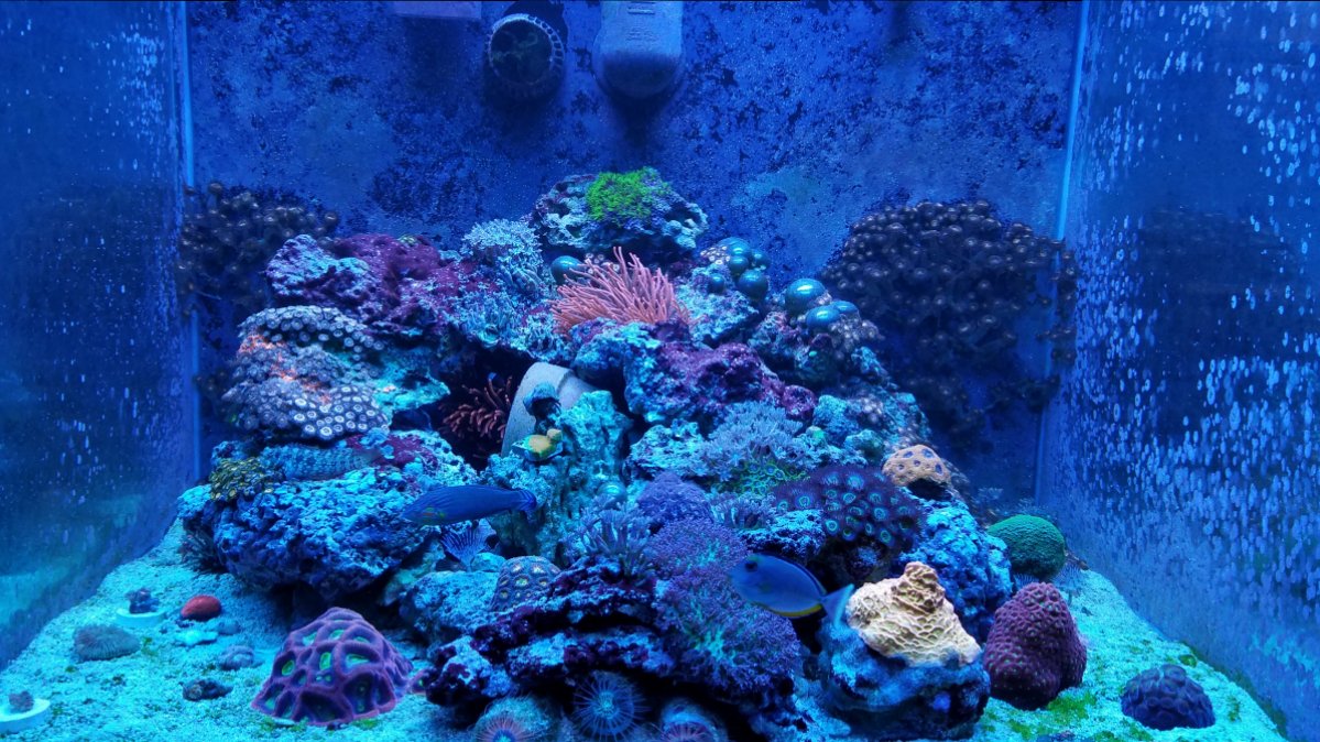 20181028_201538.jpg