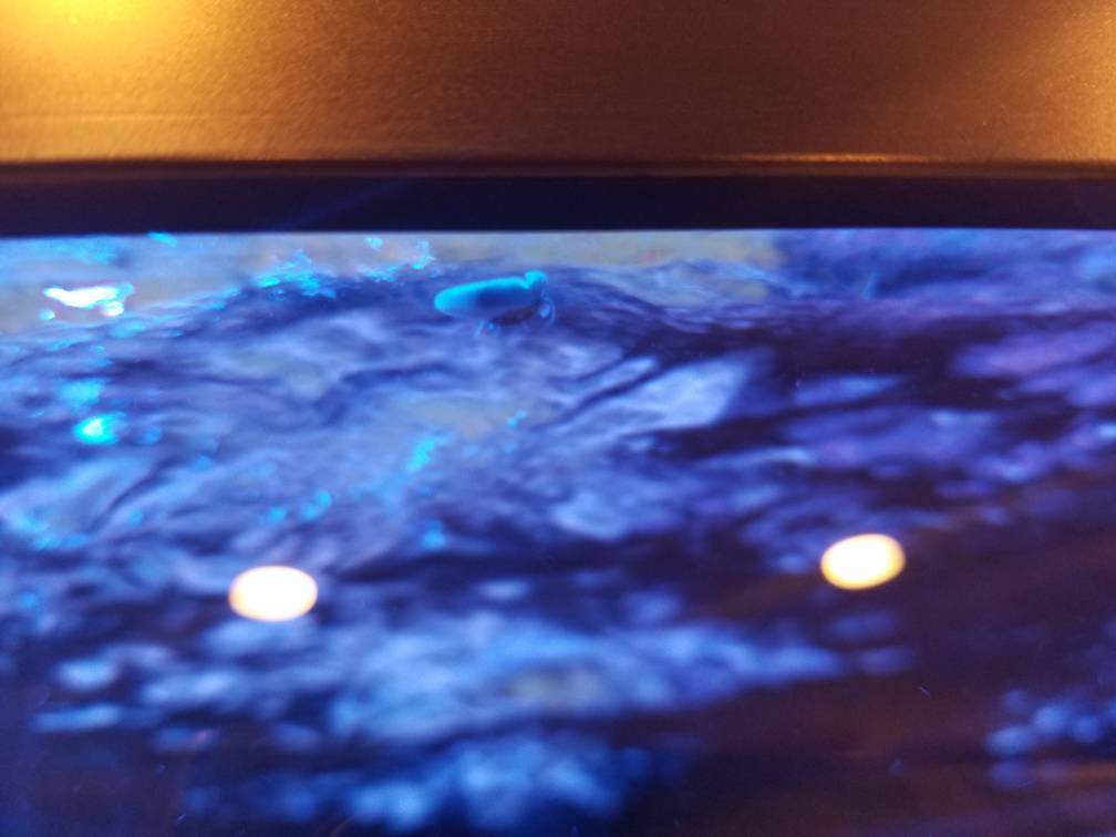 20181029_214407.jpeg
