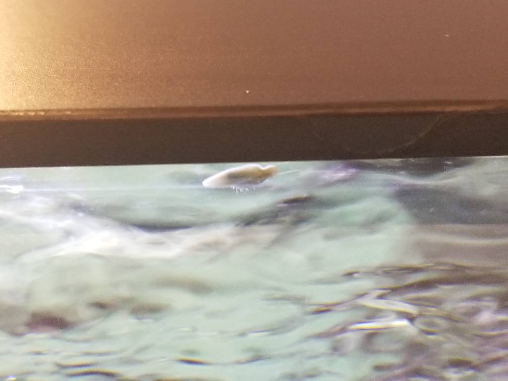 20181029_215208.jpeg
