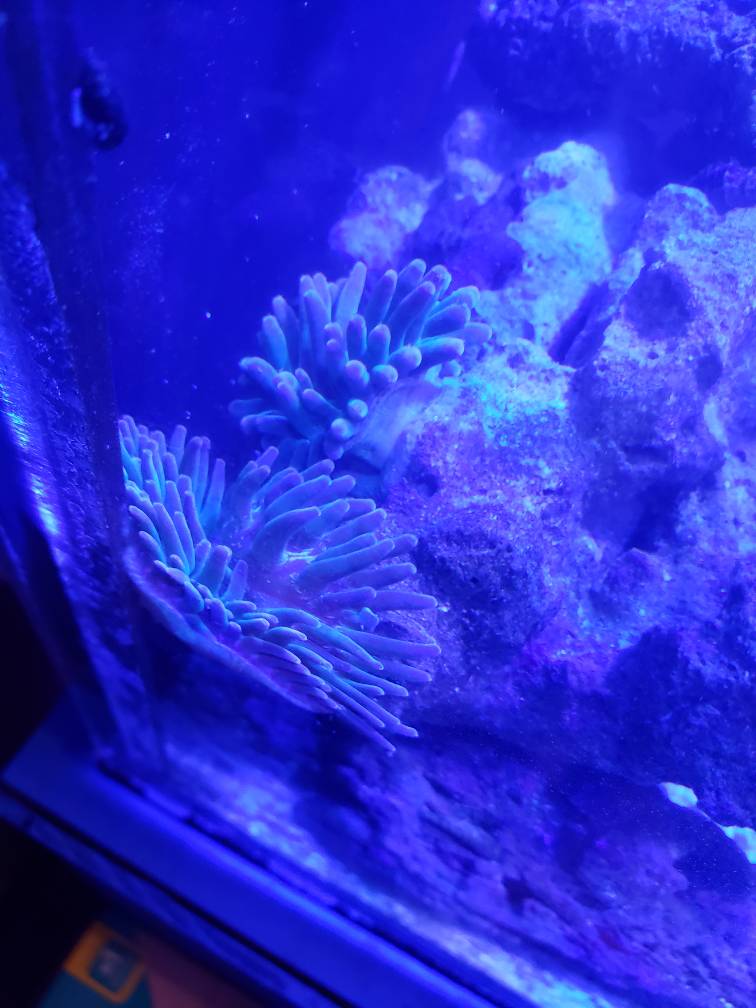 20181101_140144.jpeg