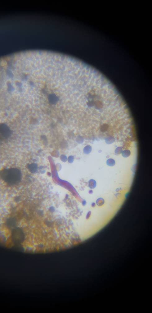 20181101_212621.jpeg