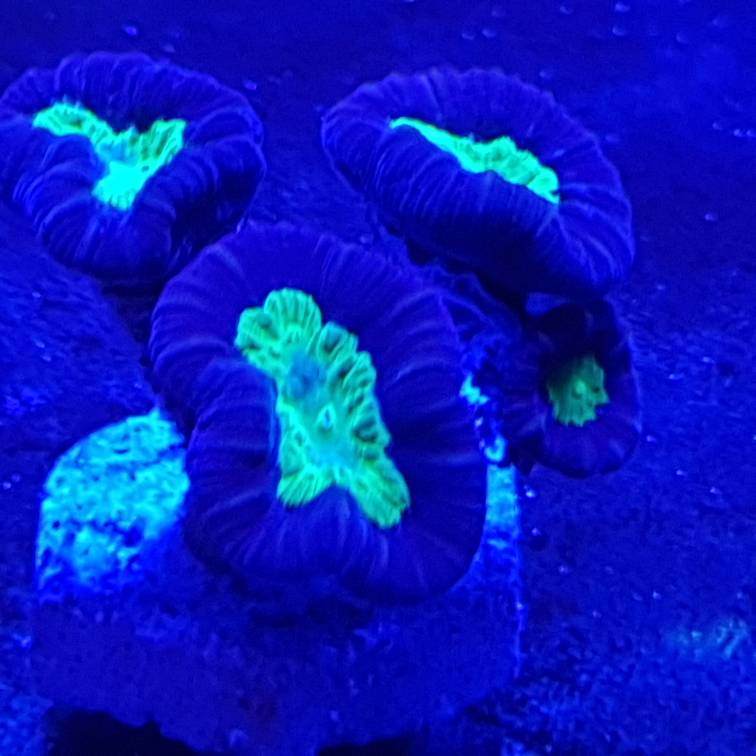 20181102_160303.jpeg