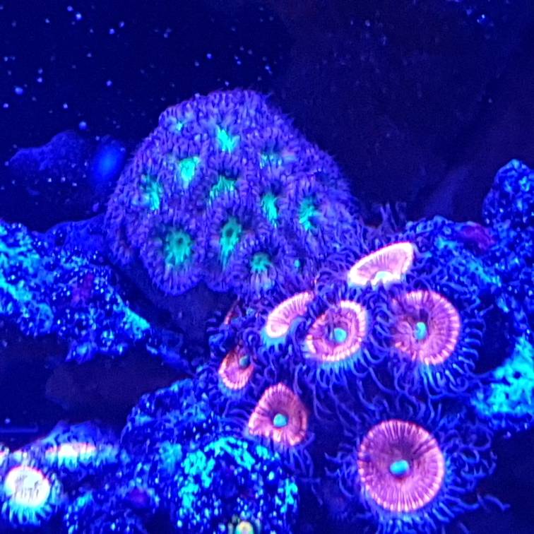 20181102_160314.jpeg
