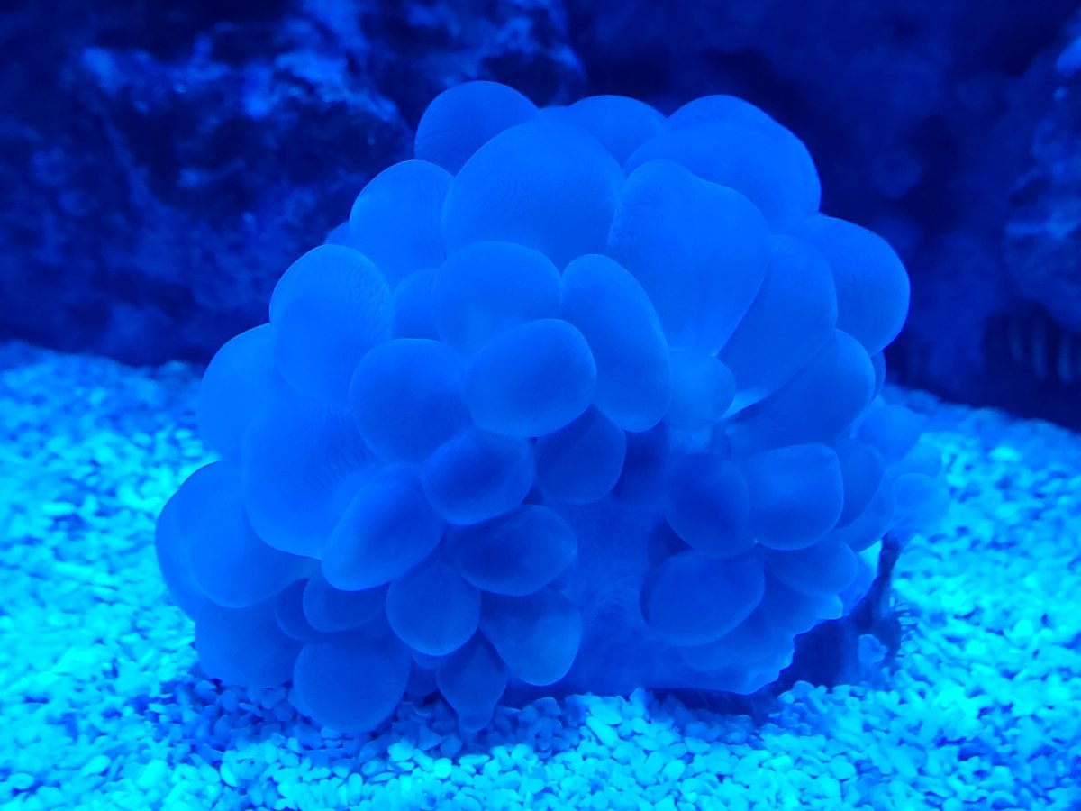 20181102_190832.jpg