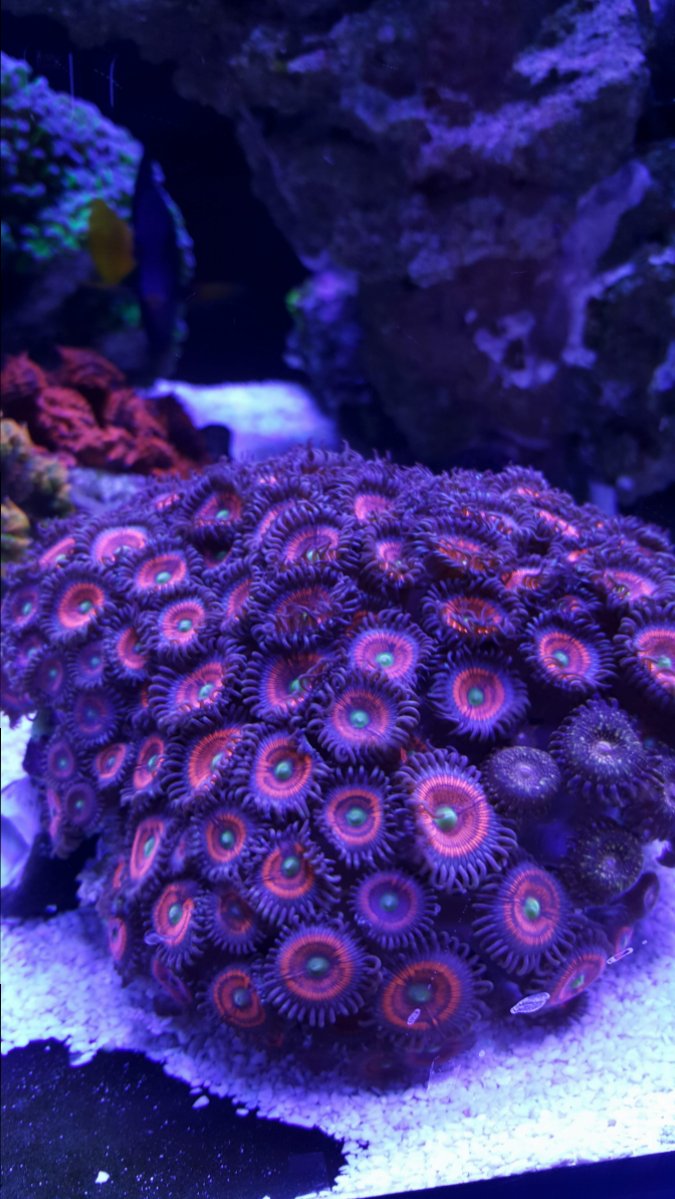 20181106_162802.jpg