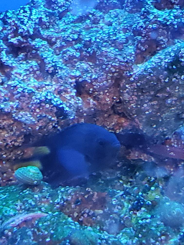 20181106_184636.jpeg