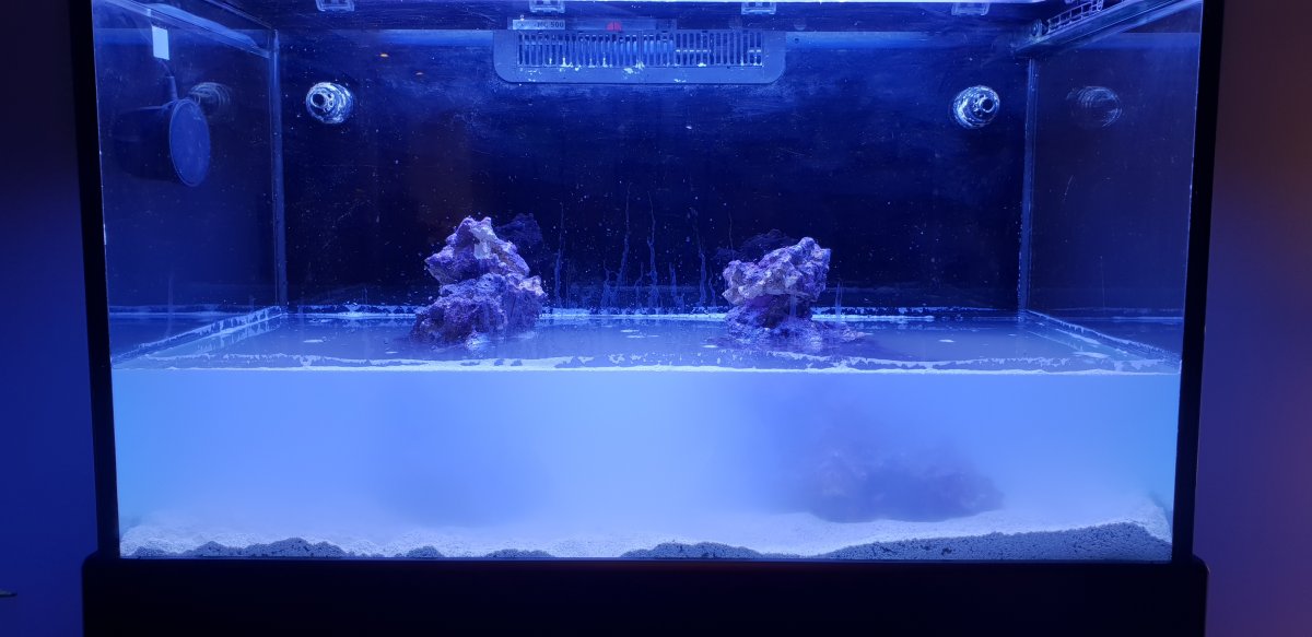 20181110_163025.jpg