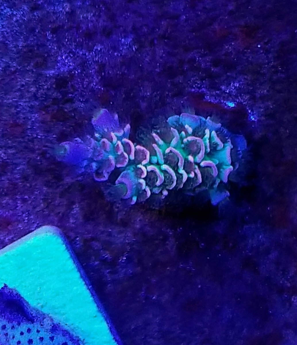 20181110_202131-01.jpeg
