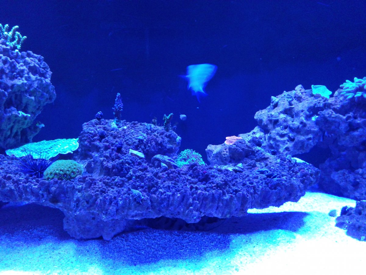 20181111_201239.jpg