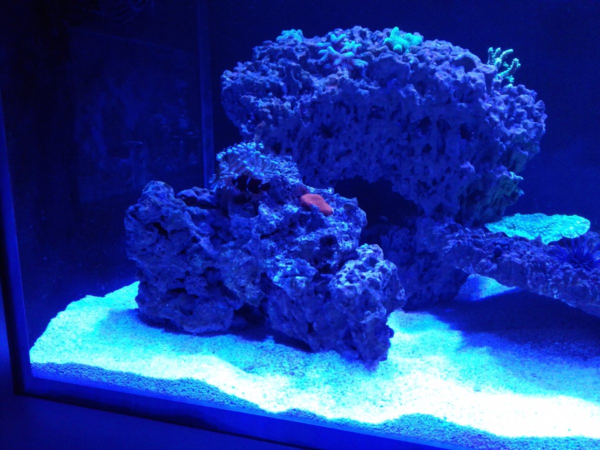 20181111_201247.jpg