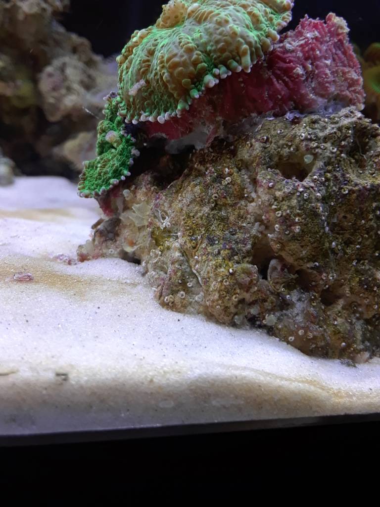 20181112_164558.jpeg
