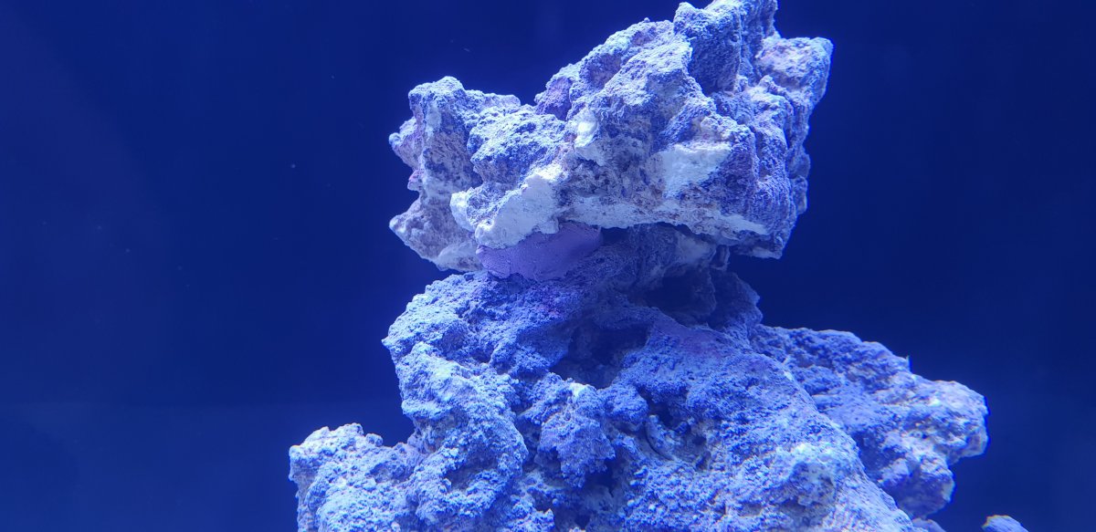 20181116_163926.jpg
