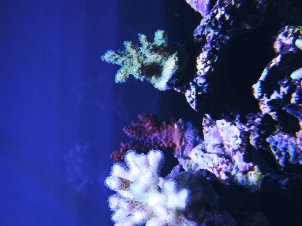 20181116_174836.jpeg
