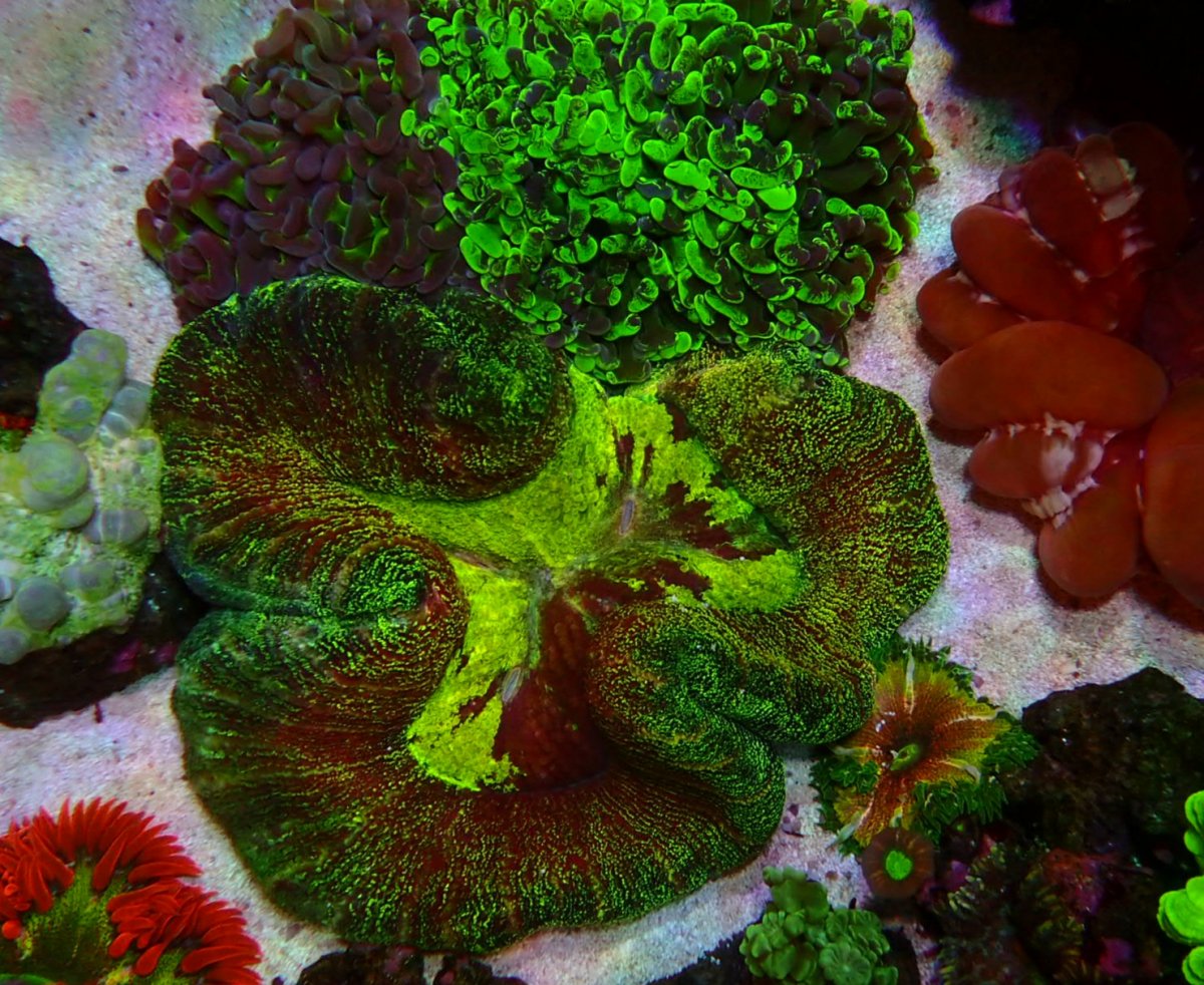 20181119_095344.jpg