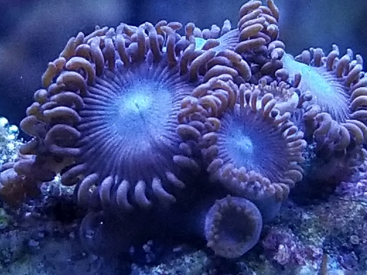 20181119_173927.jpg