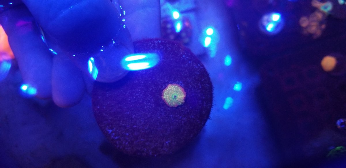 20181120_152152.jpg
