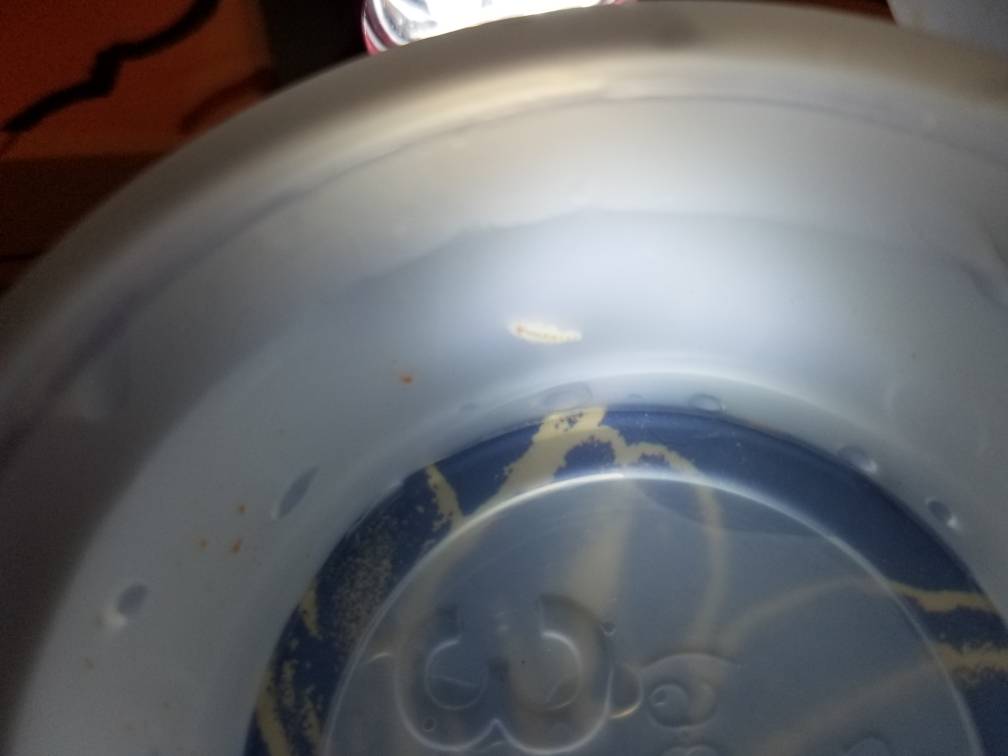 20181120_223754.jpeg
