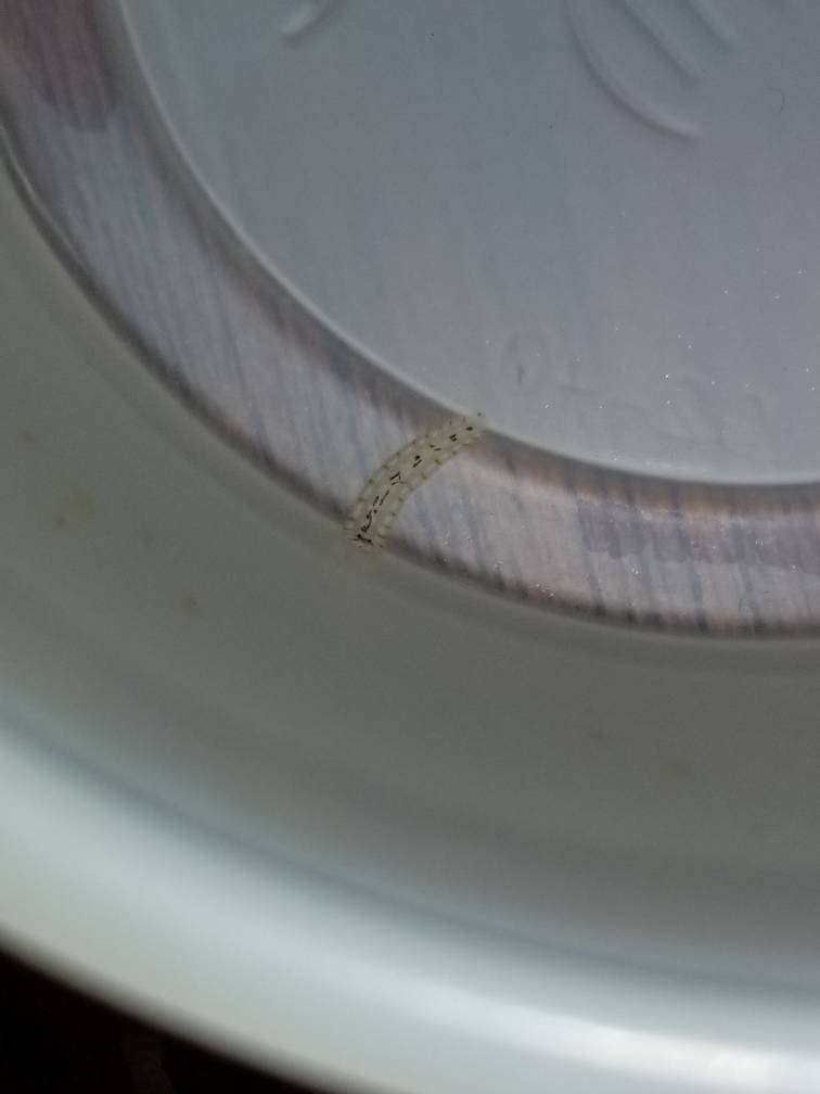 20181120_233511.jpeg
