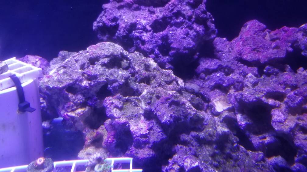 20181121_102057.jpeg