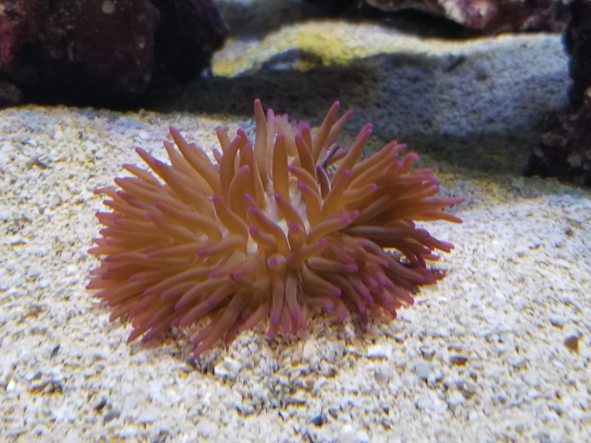 20181121_165906.jpg