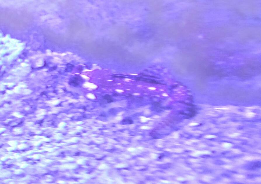 20181121_222054.jpeg