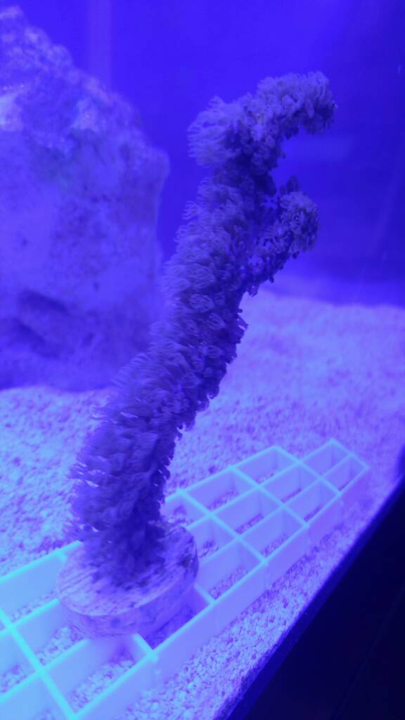 20181121_222149.jpeg