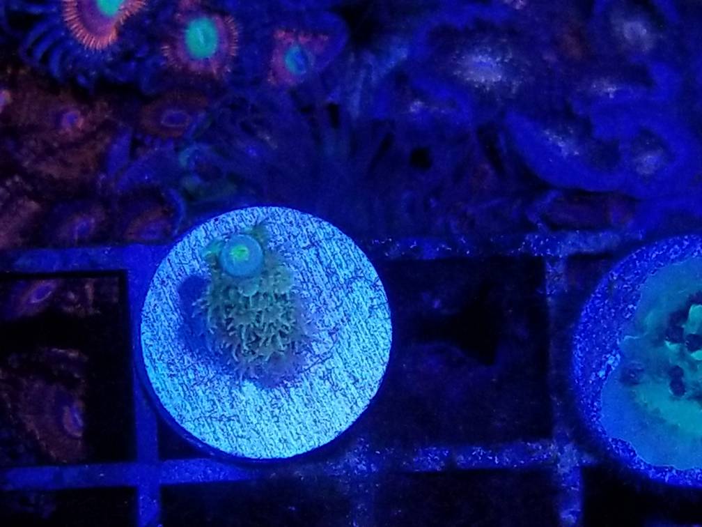 20181123_141222.jpeg