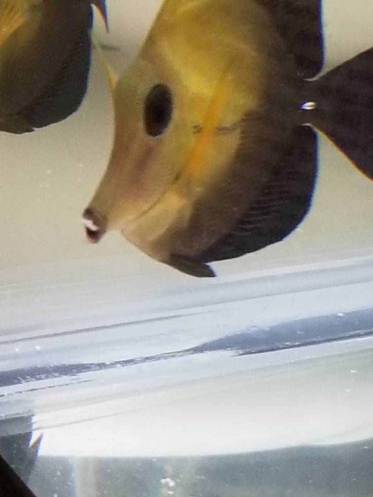 20181124_150716.jpeg