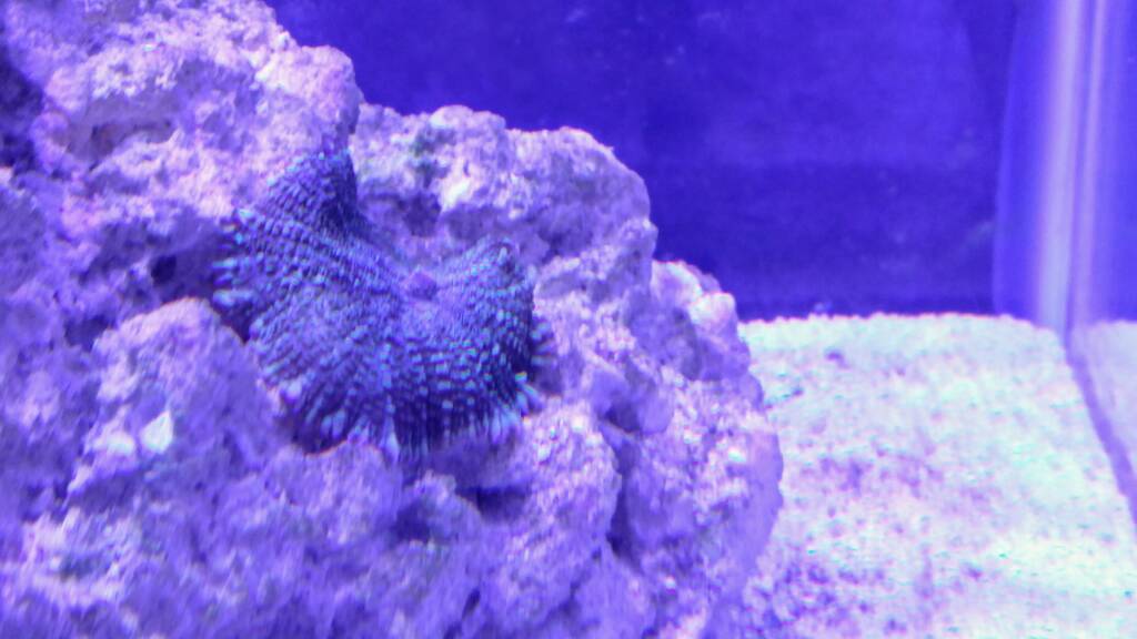 20181124_161228.jpeg