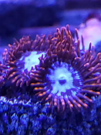 20181126_190847.jpg