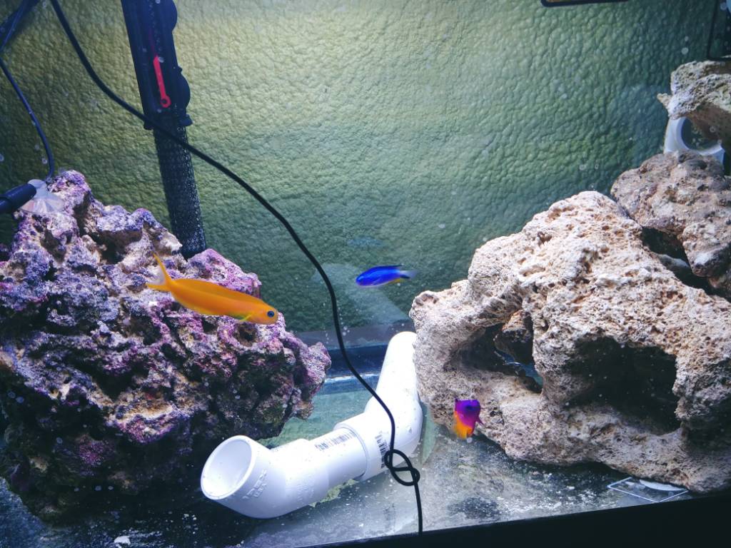 20181127_161043.jpeg