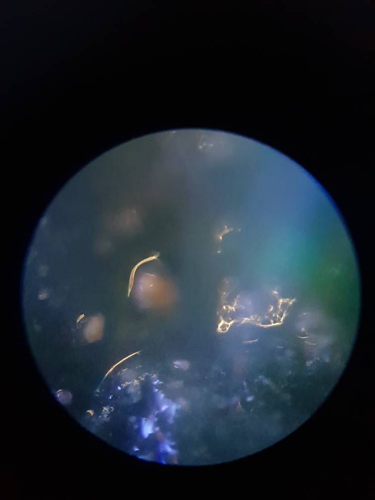 20181128_134721.jpeg