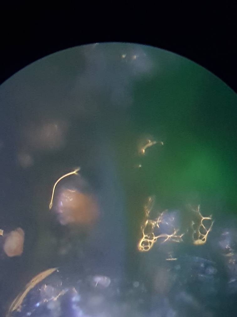 20181128_134823.jpeg