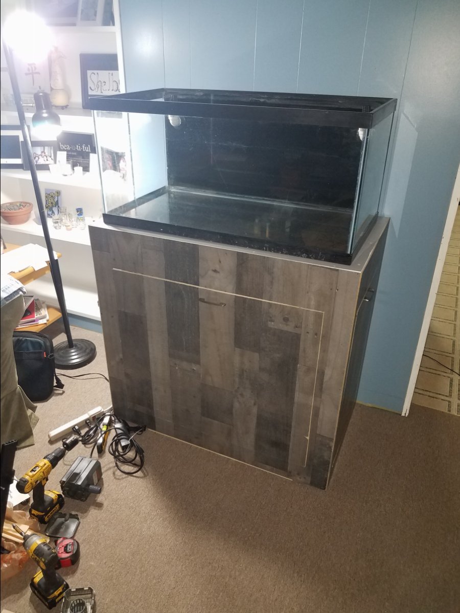 20181129_200641.jpg