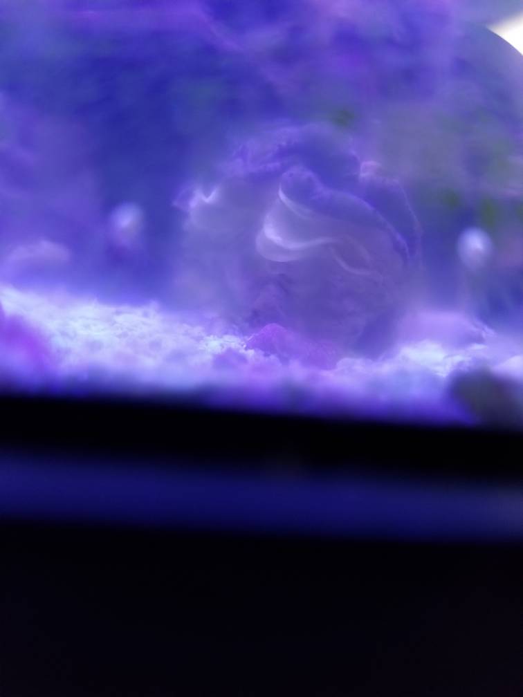 20181129_201047.jpeg