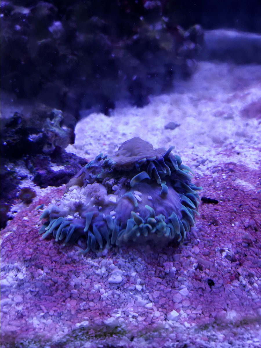 20181130_084729.jpg